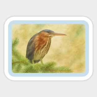 Green Heron Sticker